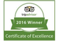 Trip Advisor Award Of Excellence