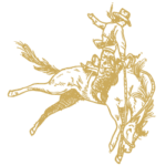 cherokeeparkranch-horsesketch3