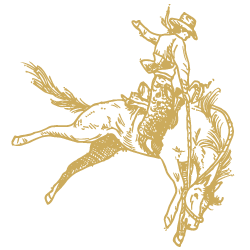 cherokeeparkranch-horsesketch3