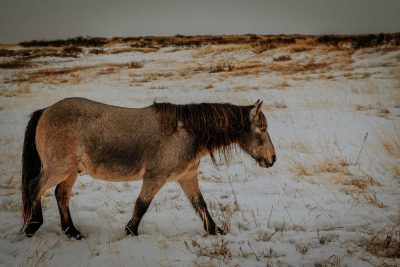 DSC_0969-2
