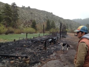 Townsend fire remnants