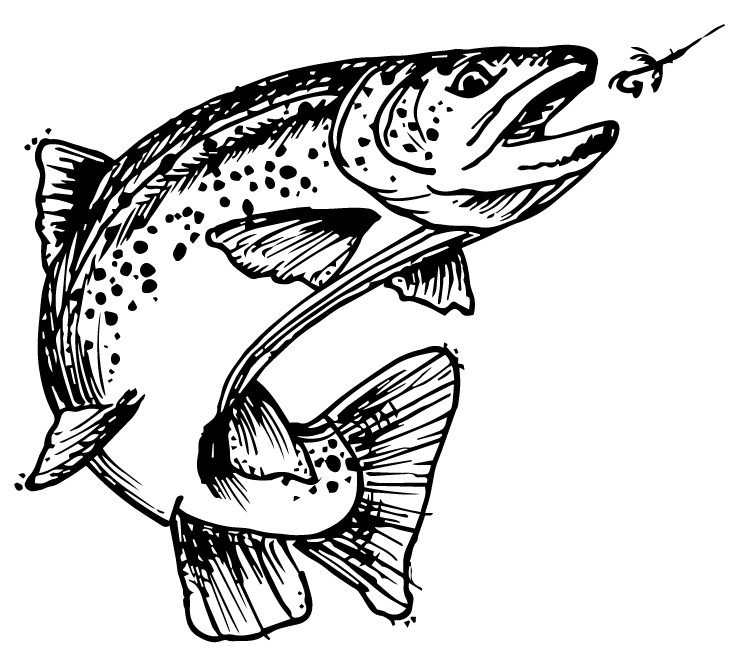 cherokeeparkranch-fishsketch