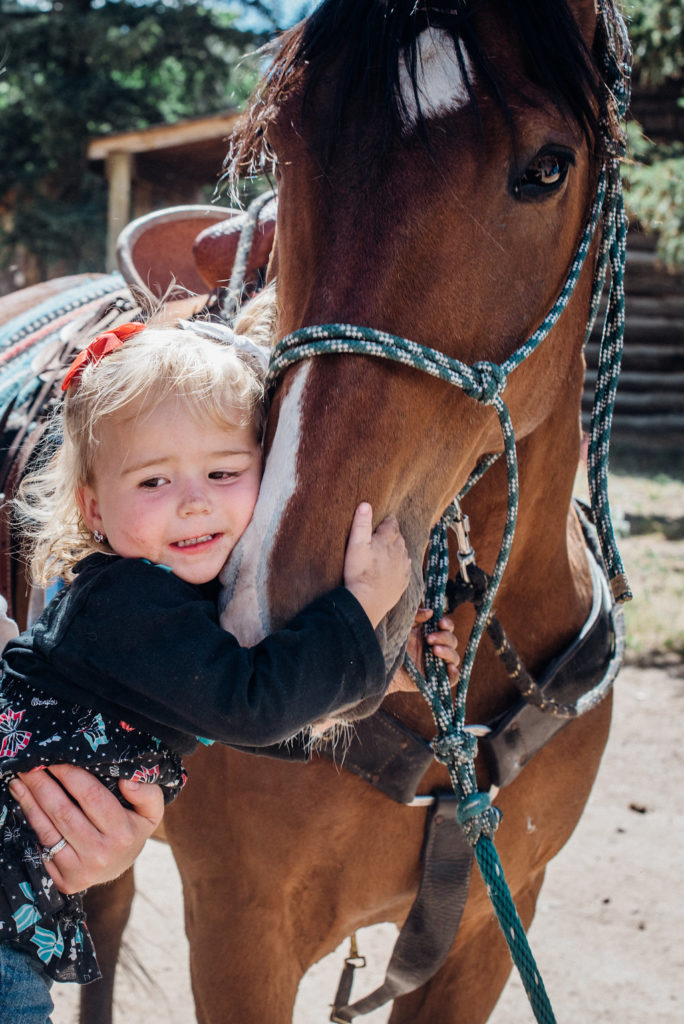 Colorado Horseback Riding Vacations in Livermore, CO Cherokee