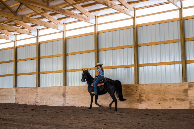 Colorado Horseback Riding Vacations in Livermore, CO Cherokee