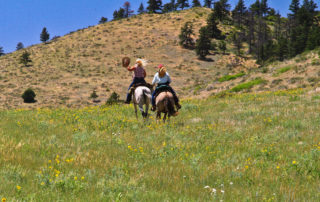 USA Today's 10Best "Best Dude Ranch"