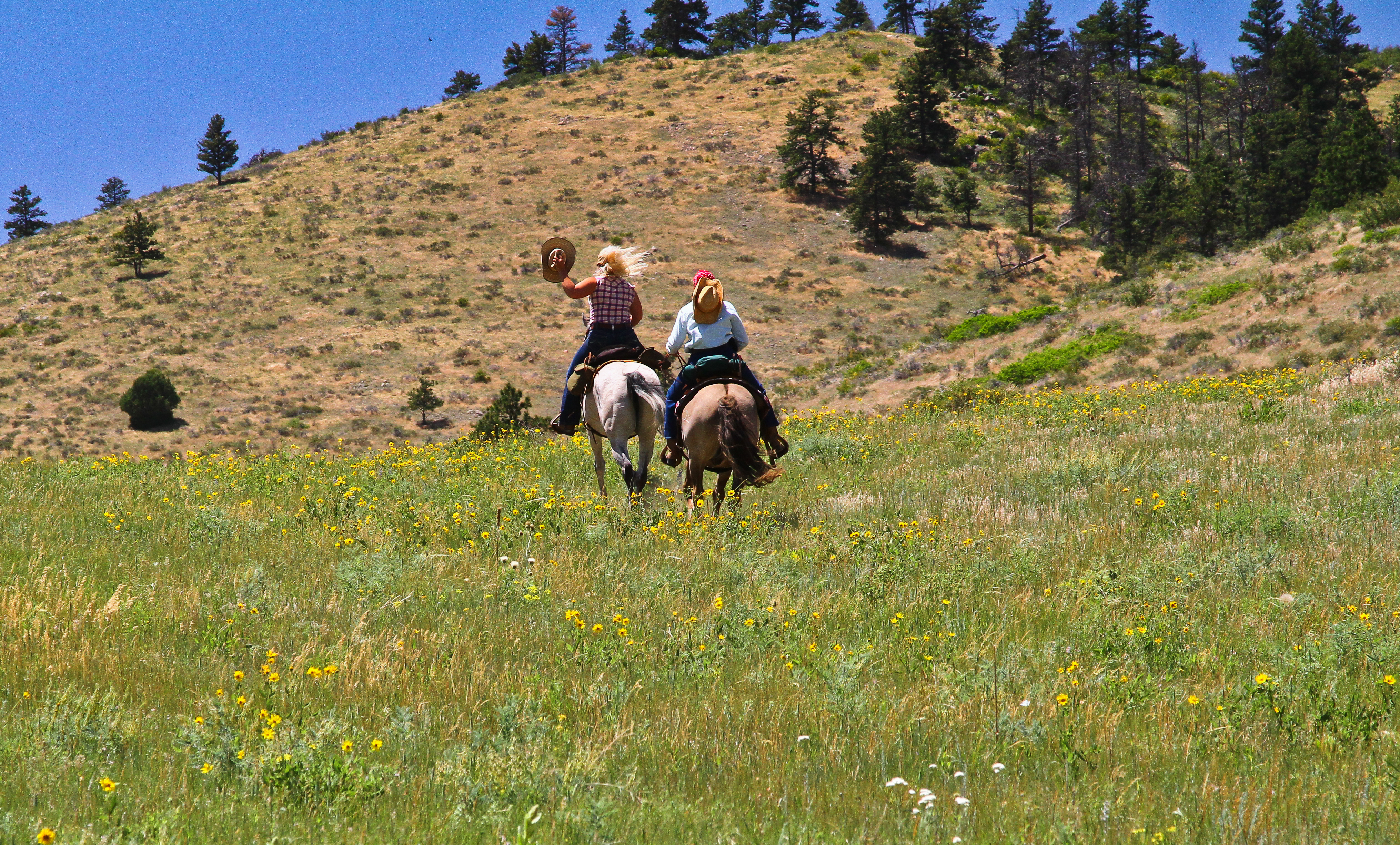 USA Today's 10Best "Best Dude Ranch"