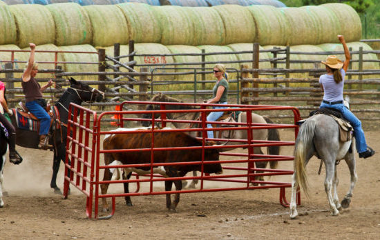 cherokeeparkranch_teampenning