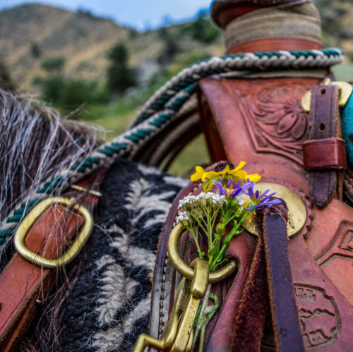 cherokeeparkranch_horsemanship