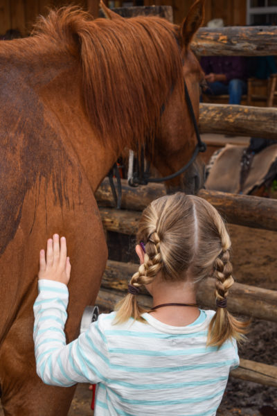 cherokeeparkranch_horsemanshipclass