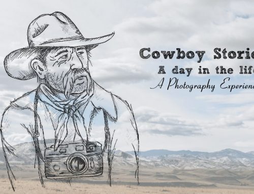 Cowboy Stories: A Day in the Life Photography Experience